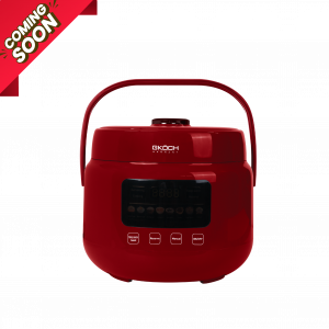 GKÖCH – REISKOCHER